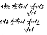포토리뷰 이미지