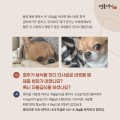 포토리뷰 이미지